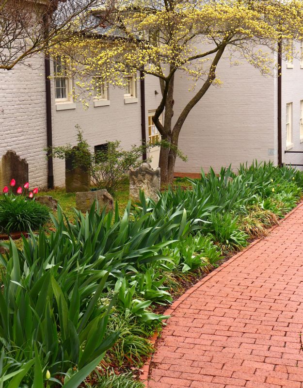 Brick Pathway Repair in Jupiter, FL