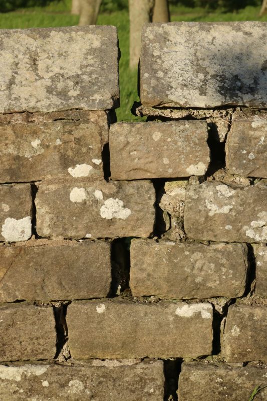 Stone Wall Repair in Martin County, FL